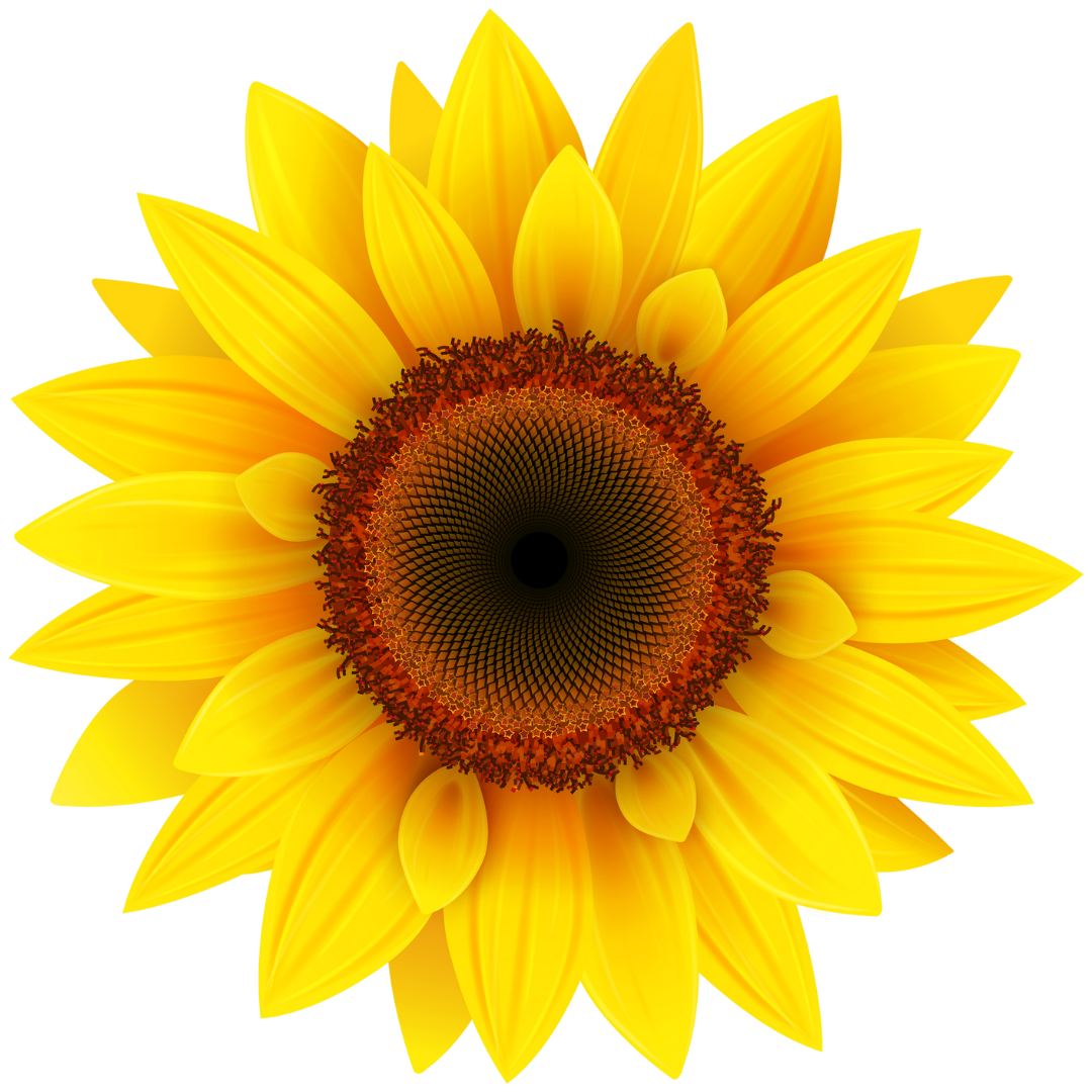 Solsikkemerket (Hidden Disabilities Sunflower)